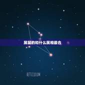 属鼠的和什么属相最合，属鼠起什么名字好