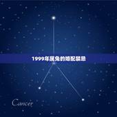 1999年属兔的婚配禁忌，1999年兔男的最佳婚姻配对是