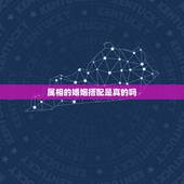 属相的婚姻搭配是真的吗，十二生肖最佳配对表格