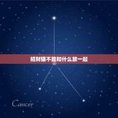 招财猫不能和什么放一起，鞋柜对大门，上面可以放招财猫吗？