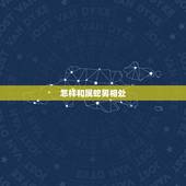 怎样和属蛇男相处，属蛇的男人宠老婆吗