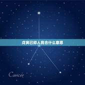 戊寅己卯人民合什么意思，民国戊寅年是哪一年