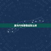 属马今年爱情运怎么样，属马运势