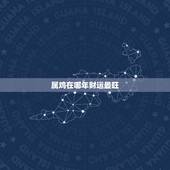 属鸡在哪年财运最旺，1981年属鸡的人哪年运程最好