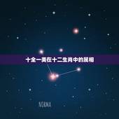 十全一美在十二生肖中的属相，看十全十美的动物？在十二生肖中指哪一个动物