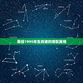 易经1995年生肖猪的婚配属相，95年属猪的最佳婚配