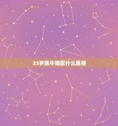 23岁属牛婚配什么属相，属牛和什么属相最配