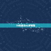 78年属马42岁婚姻，78年属马43有个劫