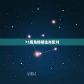 75属兔婚姻生肖配对，1975年属兔和1976年属龙的婚配会怎样