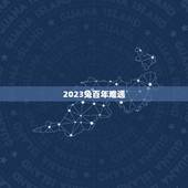 2023兔百年难遇，历史上的黑兔年都发生了什么