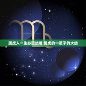 属虎人一生必遭劫难 属虎的一辈子的大劫