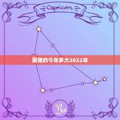 属猪的今年多大2022年，属兔的今年多大