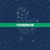 六月份属狗的运势，属狗的人2023全年运势及运程和每月运程