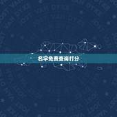 名字免费查询打分，电脑免费起名字打分