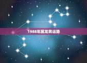 1988年属龙男运势，属龙男1988年2月8日今年感情运势怎么样