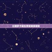 红楼梦子嗣生育或姻亲婚配，子嗣的出处与详解