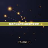 属虎的妈妈生什么属相的宝宝好，爸爸属马，妈妈属虎，生一个什么属相的孩子