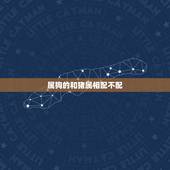 属狗的和猪属相配不配，属狗和属猪的相配吗？