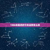 1986年属虎的今年运势怎么样