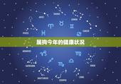 属狗今年的健康状况，属狗的今年多大2022 年