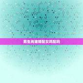 男生肖猪婚配女鸡配吗，属相婚配:男属鸡和女属猪相配吗
