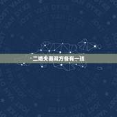 二婚夫妻双方各有一孩，再婚夫妻婚前各有一个孩子，婚后还能生第二个吗
