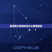 属龙的父母适合生什么属相宝宝，妈妈属龙爸爸属蛇孩子属什么好？