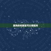 属狗的和属鼠可以婚配吗，82年属狗的和84年属鼠可以婚配吗