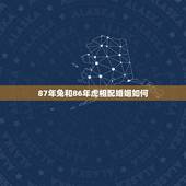 87年兔和86年虎相配婚姻如何(十二生肖相配婚姻介绍)