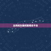 女鸡和女猪的属相合不合，男属猪的个女属鸡的合不合