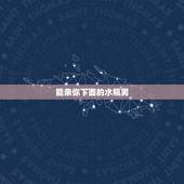 能亲你下面的水瓶男，水瓶男喝多了偷偷亲你一下