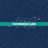 牛的中等婚配是什么属相，牛与什么生肖最配