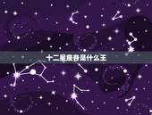十二星座各是什么王，十二星座是什么王