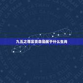 九五之尊富贵命是属于什么生肖，九五至尊一个正确生肖？