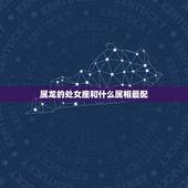 属龙的处女座和什么属相最配，属龙处女座的跟什么生肖什么星座最配？