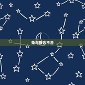 兔与猴合不合，猴和兔子合不合