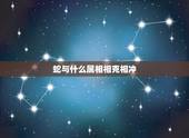 蛇与什么属相相克相冲，属蛇和什么属相相冲