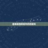属相是狗的和牛的匹配吗，牛狗属相配吗？内有详细资料，懂命理的朋友请赐教