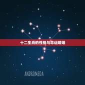 十二生肖的性格与命运婚姻，十二生肖的属性与性格