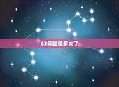 63年属兔多大了，63年属兔今日财运势