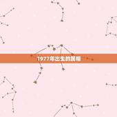 1977年出生的属相，1976年出生的属相