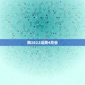 狗2022运势4月份，2022年属狗人的全年运势