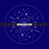 属狗的流年运势，属狗1970年农历11月26日11点出生今年45岁运气