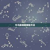牛马属相能婚配方法，牛马属相的人结合怎样
