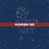 测试你更像哪个星座，有没有心理测试 来测试自己是什么星座的啊