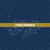 火兔和火兔婚姻状况，木鼠和火兔结婚怎么样啊，合不合啊