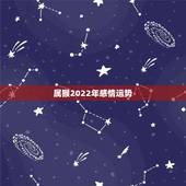 属猴2022年感情运势，2004年出生属猴，2022年运程