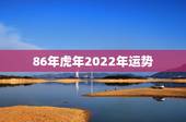 86年虎年2022年运势，88年龙2022 年运势