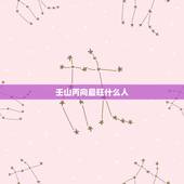 壬山丙向最旺什么人，甲申年坐壬山丙向用什么好