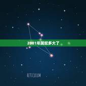 2001年属蛇多大了，2001年属蛇人的学业